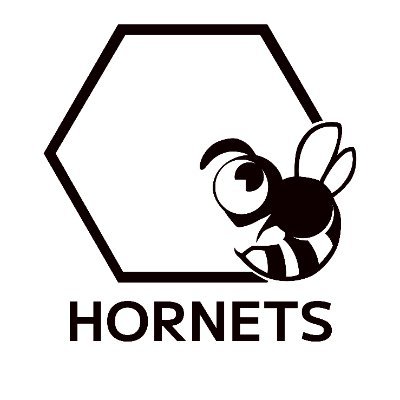 HORNETS ロゴ.jpg