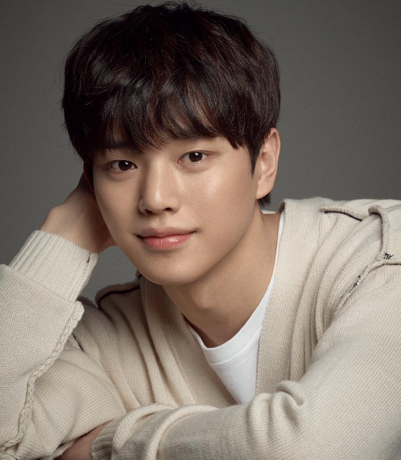 エンゼルフィッシュ:水槽で飼う