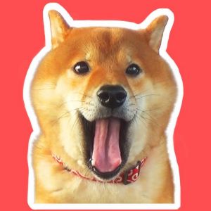 よりめのはちくん。.jpg