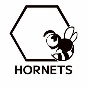 HORNETS ロゴ.jpg
