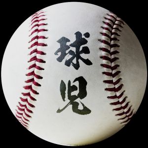 藤川球児の真向勝負.jpg