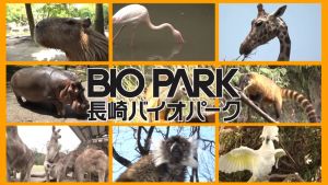 長崎バイオパーク公式.jpg