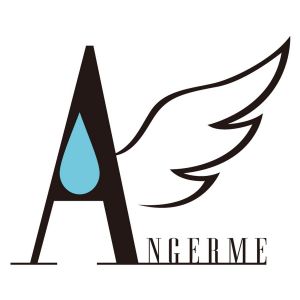 アンジュルム.jpg