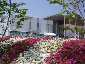 神戸夙川学院大学 ロゴ.jpg