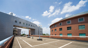 大阪府立看護大学医療技術短期大学部 ロゴ.jpg