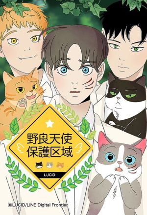 野良天使保護区域.jpeg
