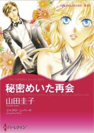 秘密めいた再会（カラータテ読み版）.jpg