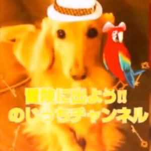 のじっちTV.jpg