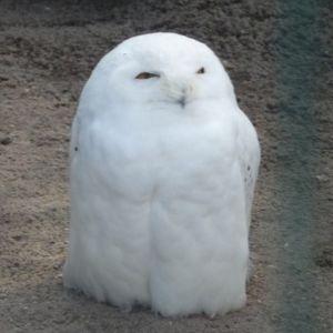 みざちゃんねる.jpg