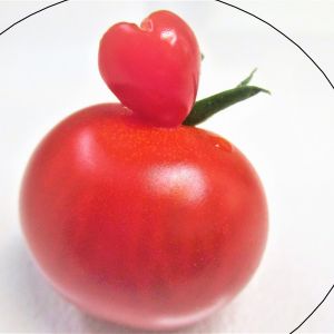 Chieko043.jpg