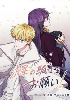 流星の騎士(ナイト)をお願い！.jpg