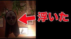 ナビィの暴露.jpg
