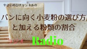 やさいのひチャンネル Yasainohi Channel.jpg
