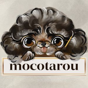 モコタロウmocotarou.jpg