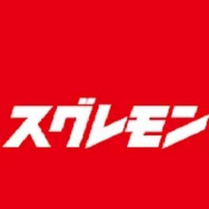 スグレモン自動車用品.jpg