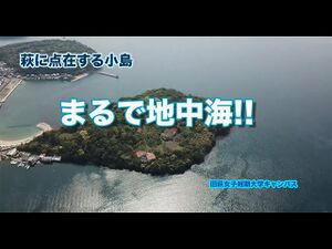 萩女子短期大学 ロゴ.jpg