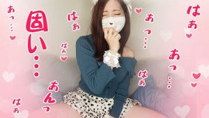 しろねこみゃあこ.jpg