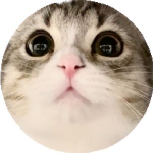 もち様の部屋.jpg