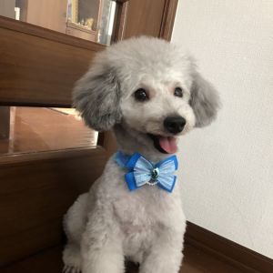 グリィちゃんねる.jpg