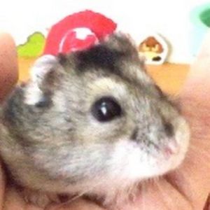 Yutako55.jpg
