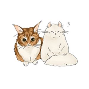 にゃんねる.jpg