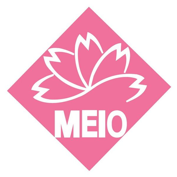 ファイル:名桜大学 ロゴ.jpg